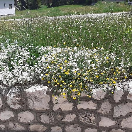 Hotel Milka Žabljak Zewnętrze zdjęcie