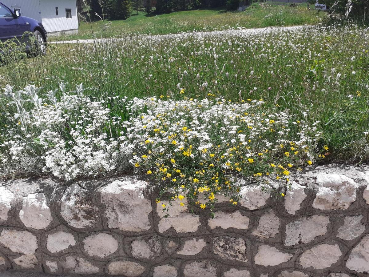 Hotel Milka Žabljak Zewnętrze zdjęcie